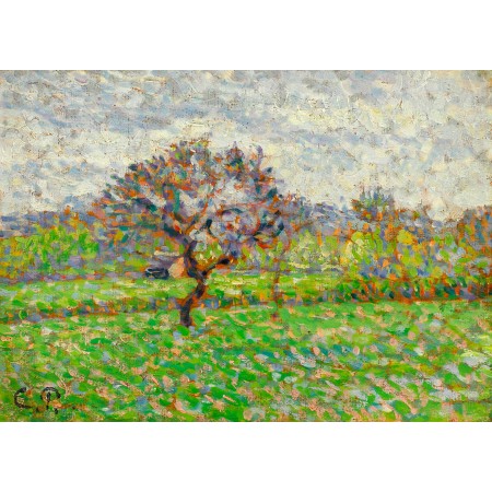 33x24in Poster Camille Pissarro - Le Pommier à Eragny