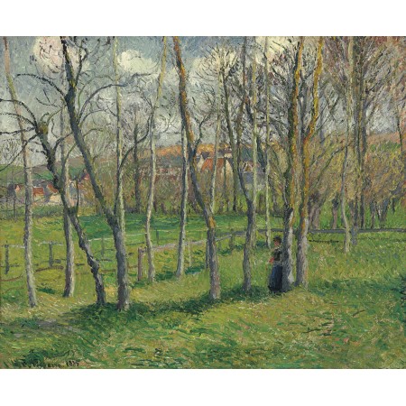 29x24in Poster Camille Pissarro - Prairie de Bazincourt