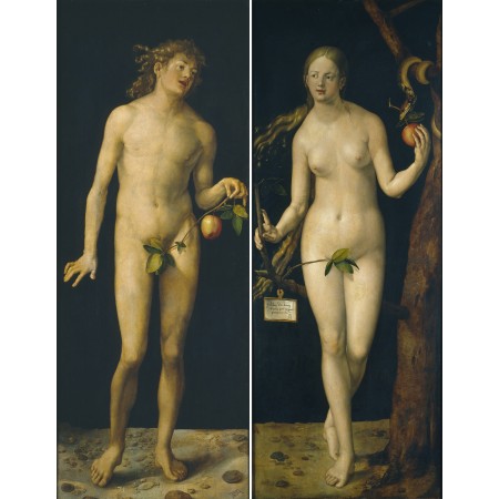 24x30in Poster Albrecht Dürer - Adam and Eve (Prado)