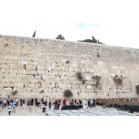 36"x24" Poster Holy Land 2016 Western Wall