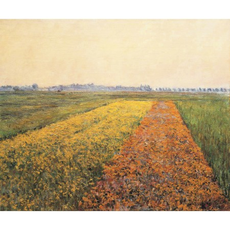 24x20in Poster Gustave Caillebotte - The Yellow Fields at Gennevilliers