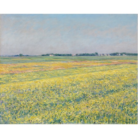 29x24in Poster Gustave Caillebotte - The plain of Gennevilliers, yellow fields