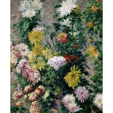 19x24in Poster Gustave Caillebotte - Chrysanthemes blancs et jaunes, jardin du Petit Gennevilliers