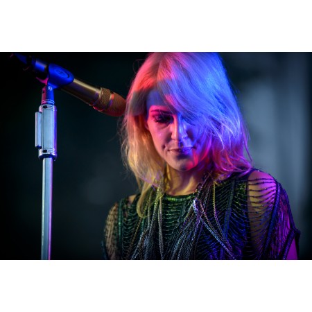 24x16in Poster Emily Haines Metric at Rock the Garden