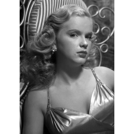 24x33in Poster Glamour Anne Francis Golden age of Hollywood vintage pin-up photo