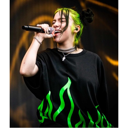 24x28in Poster Billie Eilish Performing at Pukkelpop Festival - 18 AUGUST 2019 (01) (cropped)