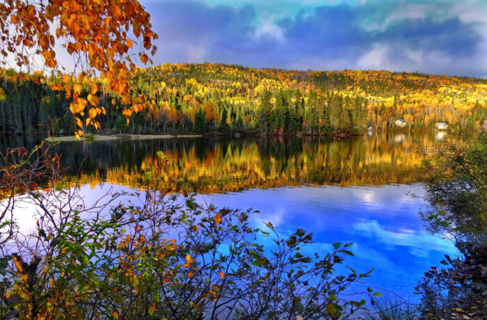 Autumn Scenery Pictures Photographic Print Poster Landscape, tree, water, nature, forest, wilderness, mountain, meadow, morning, leaf, fall, flower, lake