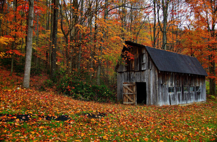 country barn Photographic Print Poster The World's Most Incredible Scenery Autumn Virginia