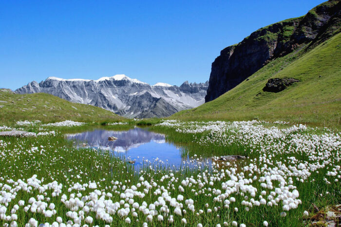 Am Chebodensee bei Elm Photographic Print Poster Most Beautiful Places in Switzerland