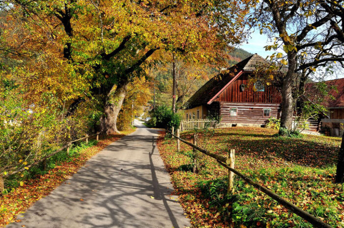 Autumn Scenery Pictures Photographic Print Art Print Poster Klagenfurt Sankt Peter Bichl altes Bauernhaus Allee