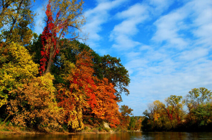 Autumn Scenery Pictures Photographic Print Poster Fall foliage on the Black River