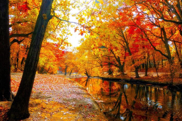 Autumn Scenery Pictures Photographic Print Art Print Poster Park, River Landscape.