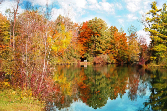 Autumn Scenery Pictures Photographic Print Art Print Poster Nature, meadow, leaf, fall, pond, foliage, autumn ,park