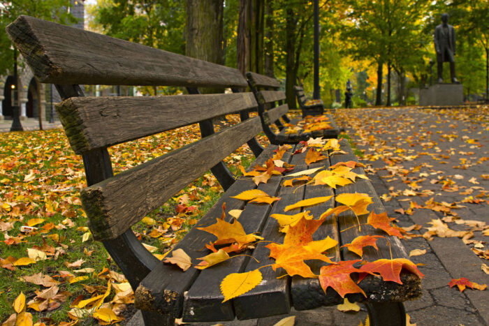 Park bench Photographic Print Art Print Poster Autumn Scenery Pictures Leaves