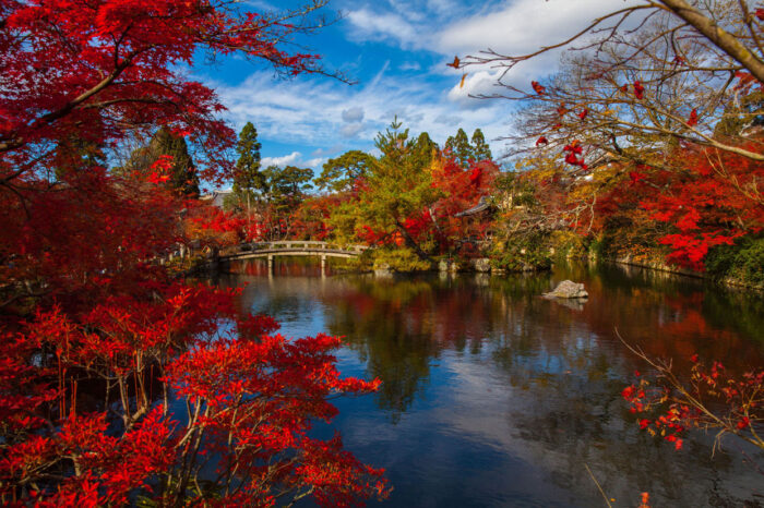 Autumn Scenery Pictures Photographic Print Poster landscape water nature plant leaf fall flower river pond foliage stream reflection