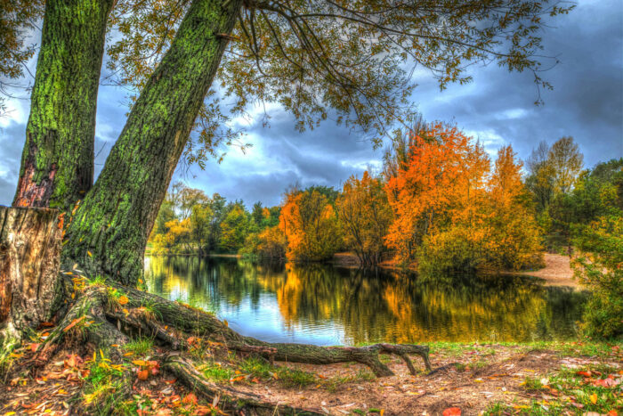 Autumn Scenery Pictures Photographic Print Poster Trees Lake, landscape, skys, clouds, reflection