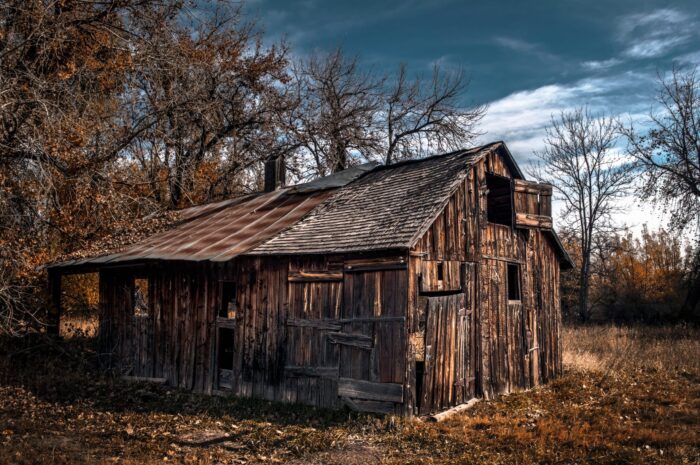 Photographic Print Poster Boxelder Autumn Fall Rural Farm Ranch Cabin