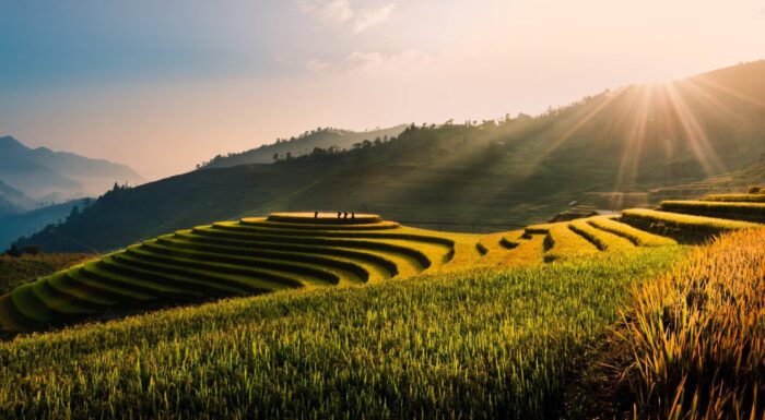 Photographic Print Poster Vietnam Tu le Terraces Field Rice field Rice