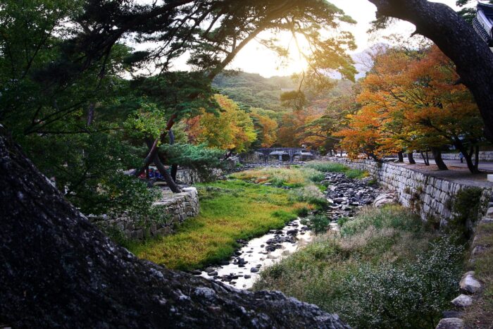 Photographic Print Poster Beomeosa temple Creek Nature Glow Autumn leaves