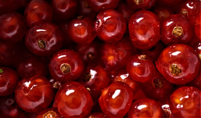 Photographic Print Poster Currants Red Kitchen Eat Healthy diet Berries