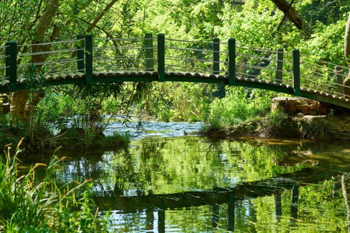 Nature Park River Bridge Waterfall Reflection