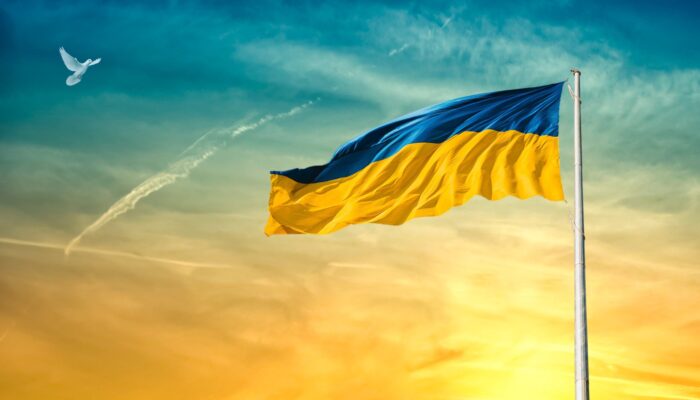 Ukraine Flag Sky Dove Bird Clouds Peace Mast