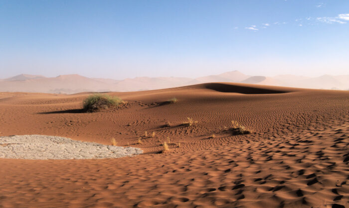 Dune ripples Namib-Naukluft National Park Dead Vlei and Sossusvlei