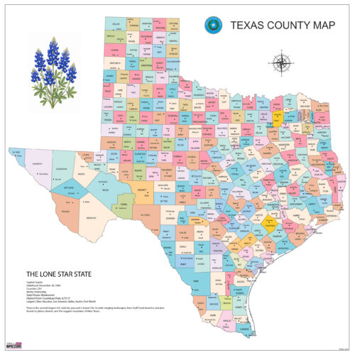 24x24in Poster Texas County Map and County Seats