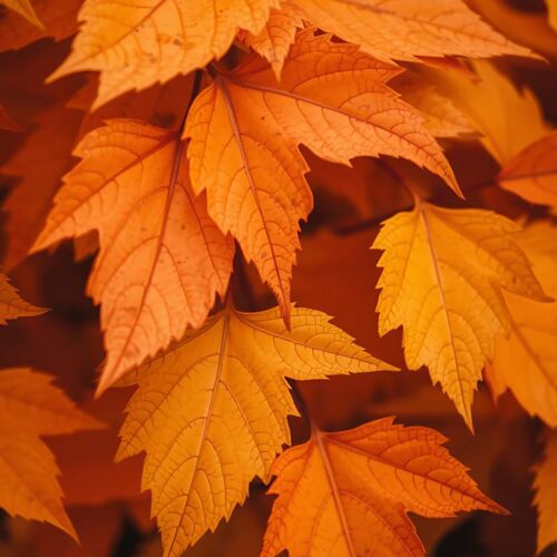 Golden Autumn Leaves Poster – Close-Up Fall Foliage Wall Art Print in Warm Earth Tones image