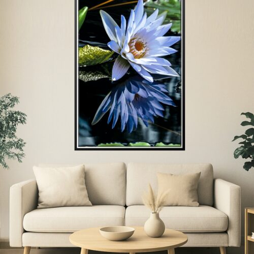 Tranquil Bloom – Blue Water Lily on Reflective Pond Poster picture