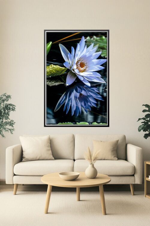 Tranquil Bloom – Blue Water Lily on Reflective Pond Poster picture