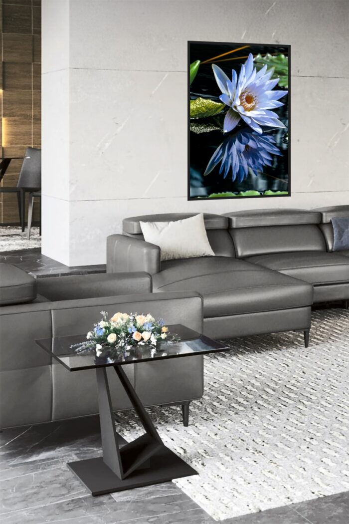 Tranquil Bloom – Blue Water Lily on Reflective Pond Poster picture