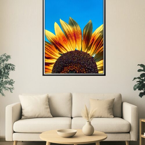 Bright Sunflower Close-Up Wall Art – Vibrant Yellow and Red Petals Against Blue Sky Photography Print for Modern Nature Decor picture