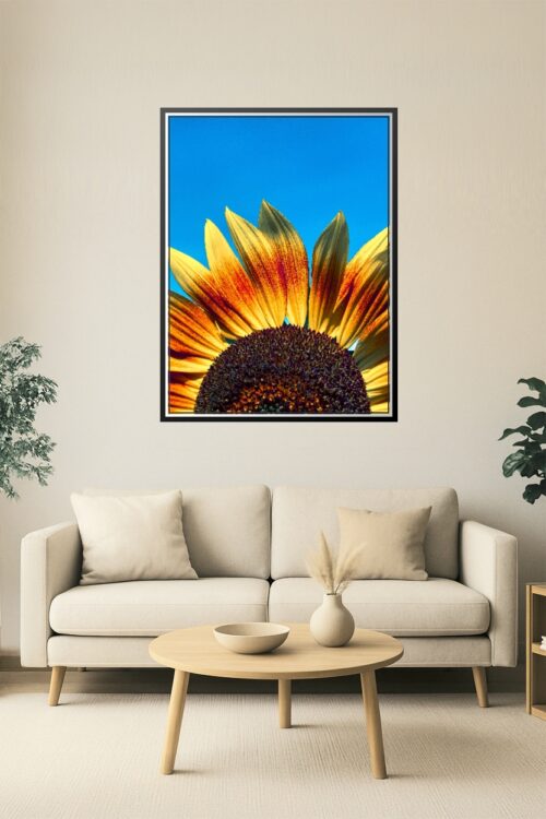 Bright Sunflower Close-Up Wall Art – Vibrant Yellow and Red Petals Against Blue Sky Photography Print for Modern Nature Decor picture