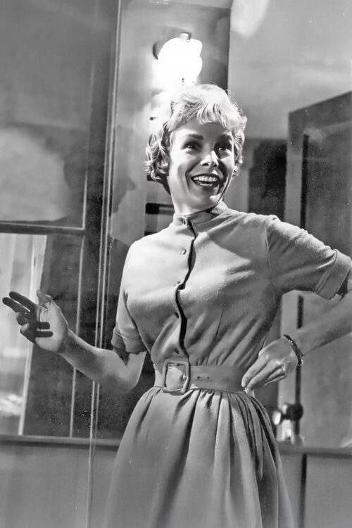 Janet Leigh Poster – Classic 1950s Hollywood Icon in Retro Glamour, Vintage Black and White Print picture
