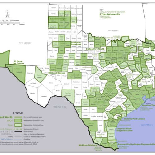 Texas Core Based Statistical Areas Map Poster – Detailed County & Metro Region Overview picture