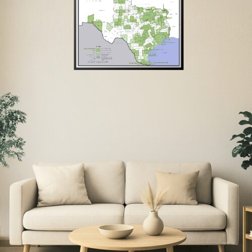 Texas Core Based Statistical Areas Map Poster – Detailed County & Metro Region Overview picture