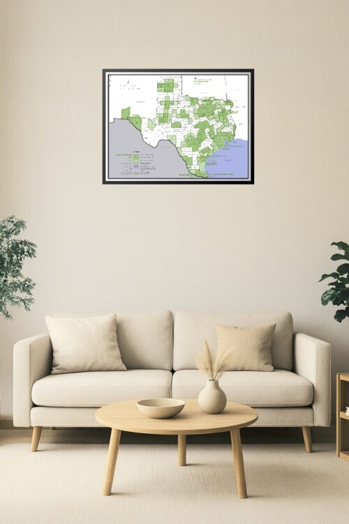 Texas Core Based Statistical Areas Map Poster – Detailed County & Metro Region Overview picture