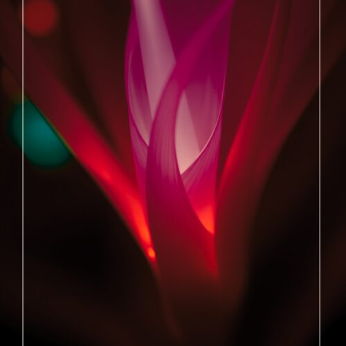 Where Color Breathes – Abstract Light Art Poster picture