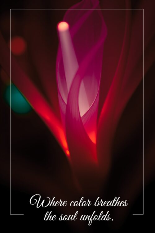 Where Color Breathes – Abstract Light Art Poster picture