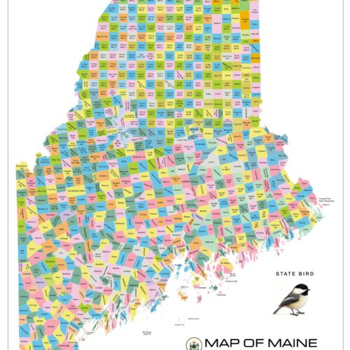 Maine Towns and Plantations Color Map Poster – Detailed Pine Tree State Municipalities Art Print picture