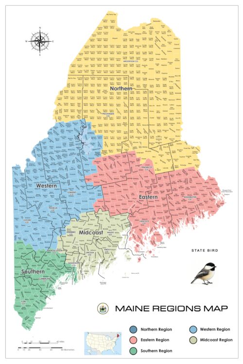 Maine Regions Map Poster – Color-Coded Regional Wall Art | Educational Pine Tree State Print picture