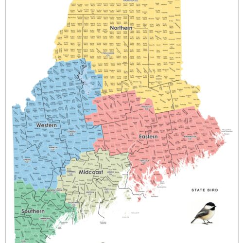 Maine Regions Map Poster – Color-Coded Regional Wall Art | Educational Pine Tree State Print picture