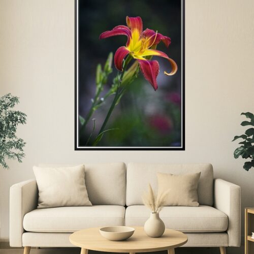Fiery Red and Yellow Daylily – Botanical Fine Art Macro Poster picture