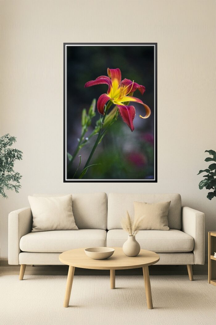 Fiery Red and Yellow Daylily – Botanical Fine Art Macro Poster picture