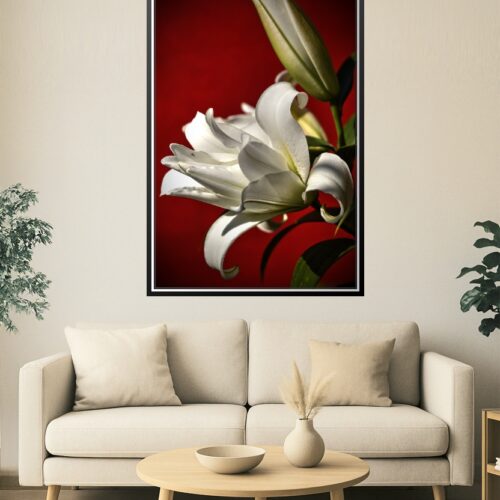 Elegant White Lily on Red – Botanical Fine Art Macro Poster picture