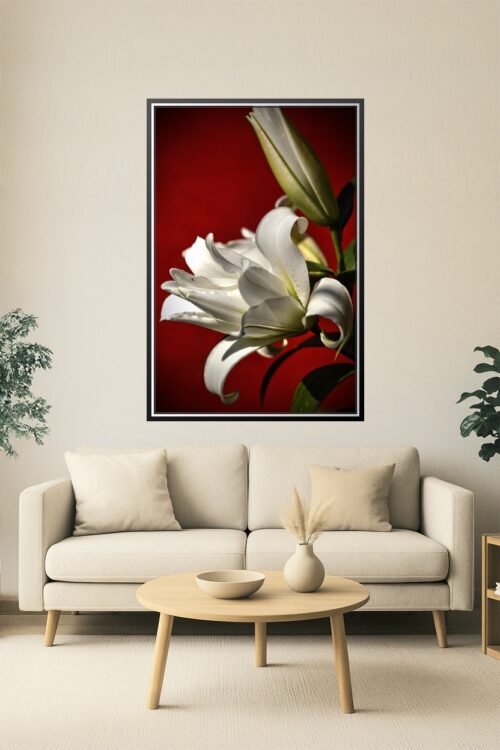 Elegant White Lily on Red – Botanical Fine Art Macro Poster picture