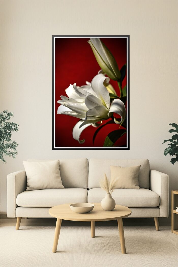 Elegant White Lily on Red – Botanical Fine Art Macro Poster picture