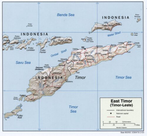 East Timor Map Poster – Timor-Leste with Capital and Borders picture