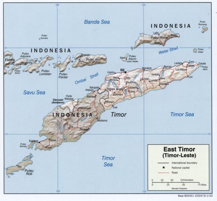 East Timor Map Poster – Timor-Leste with Capital and Borders picture